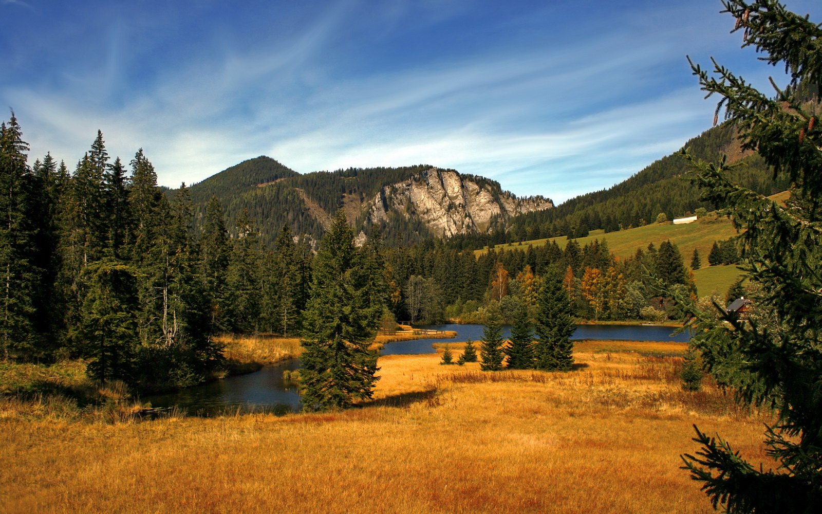 乡村特色越野跑,体验最原生态的运动魅力,农村越野车买什么车好