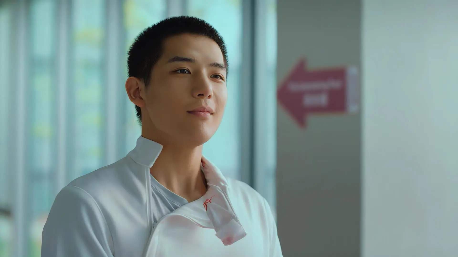 伊朗马术协会与兽医合作，开展马匹疾病预防与治疗研究。，伊朗masaf