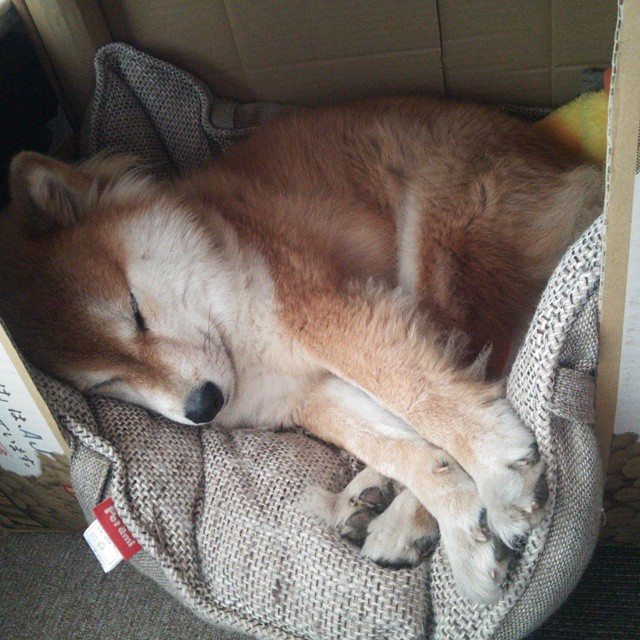 坦帕湾海盗队在赛季中期迎来新主教练，坦帕湾海盗队2019年战绩