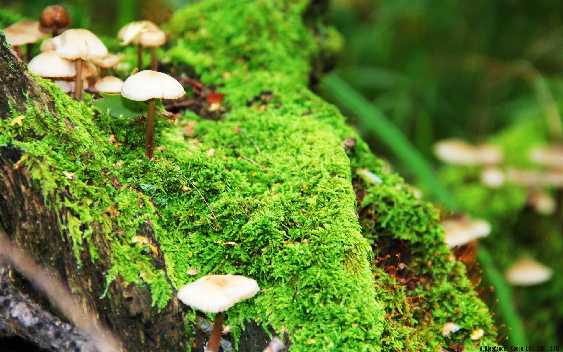 开云真人娱乐官网-世界排名变动：最新排行谁梅开二度？，世界排名最新排名