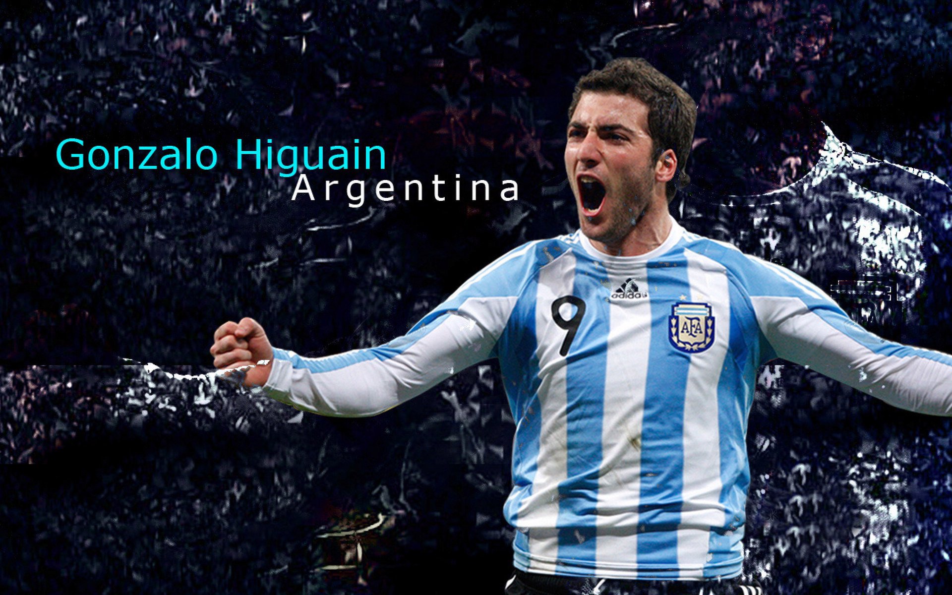 保利娜·普费夫跳台动作精准高难度加分