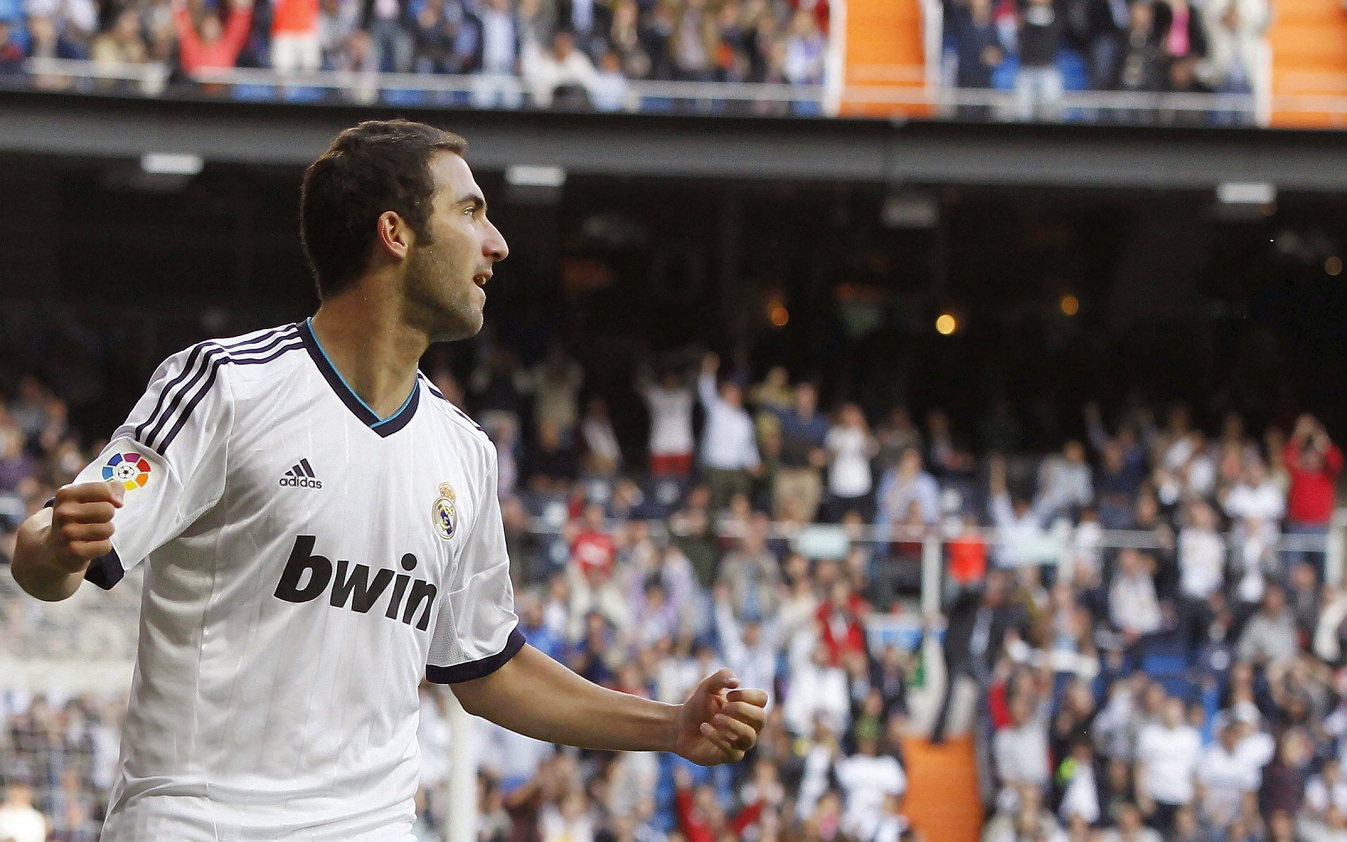 开云网站-球迷助威团招募活动开启打造专属球队支持文化，球迷助威视频